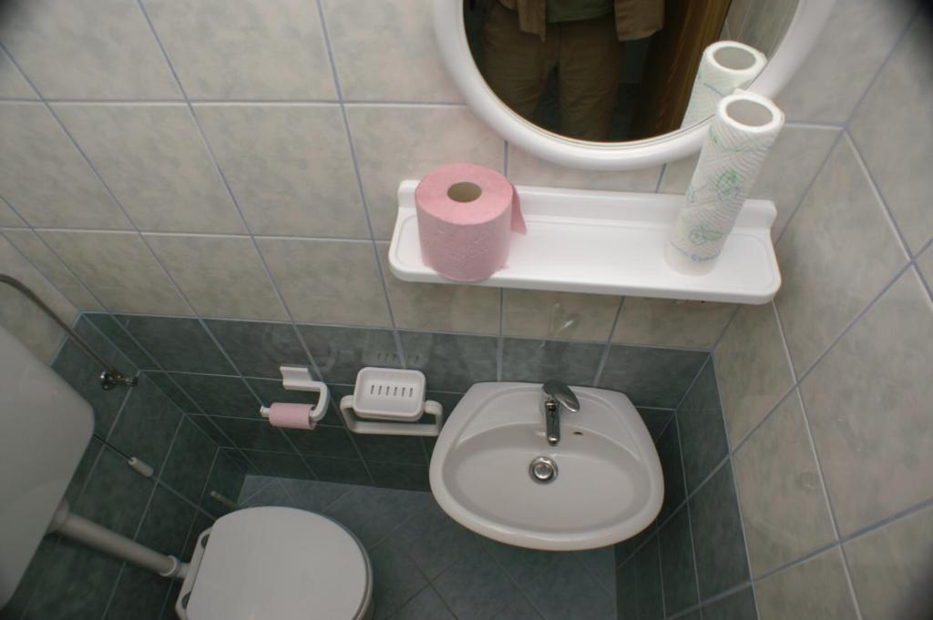 Kúpeľňa v ubytovaní Apartment Zubovici 4130e
