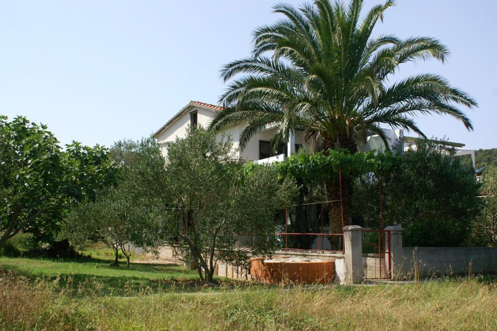 uma palmeira em frente a uma casa em Holiday apartments Vrgada, Biograd - 4200 em Vrgada