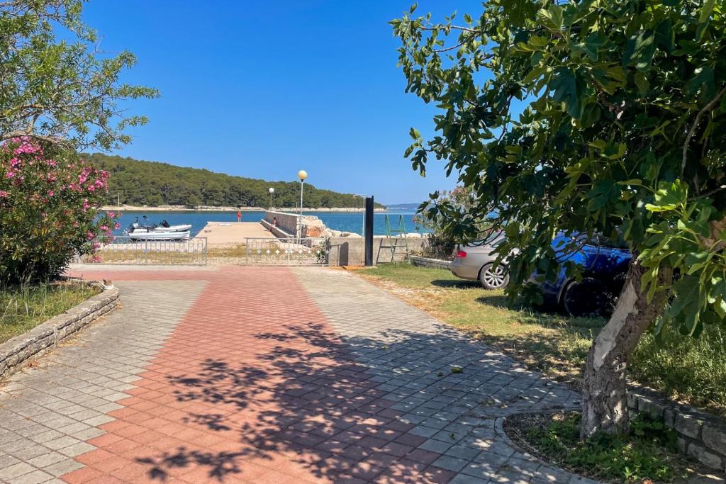Príroda v okolí penziónu