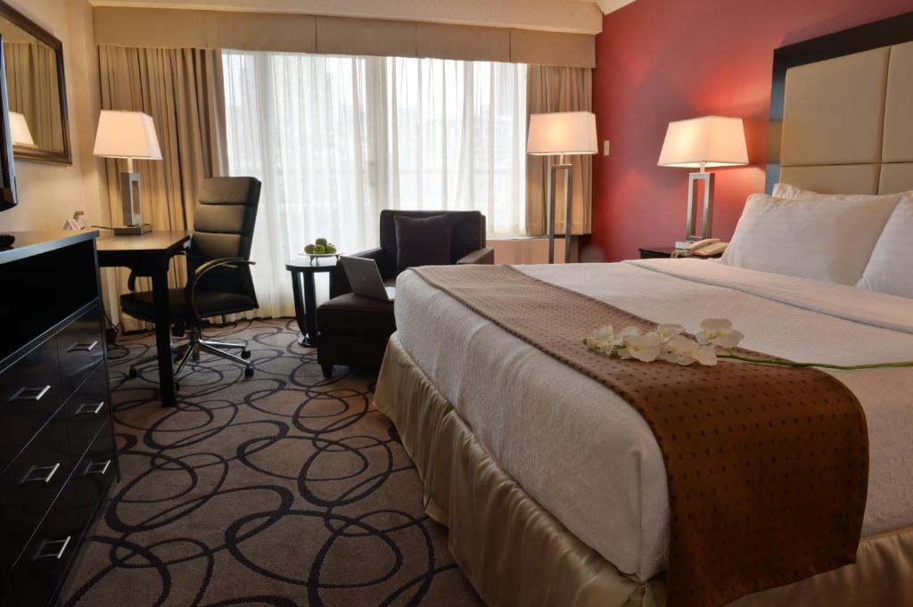 Holiday Inn Montreal Centre Ville Downtown, an IHG Hotel - 标准的国王室与阳台