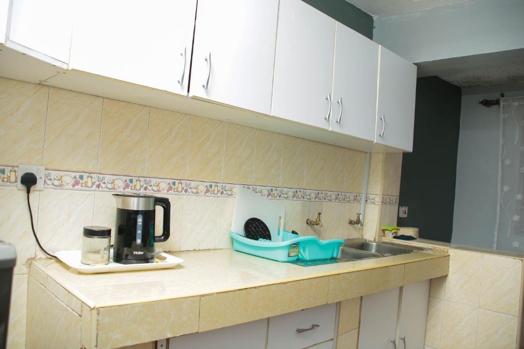 Kuchyň nebo kuchyňský kout v ubytování Parkview apartments