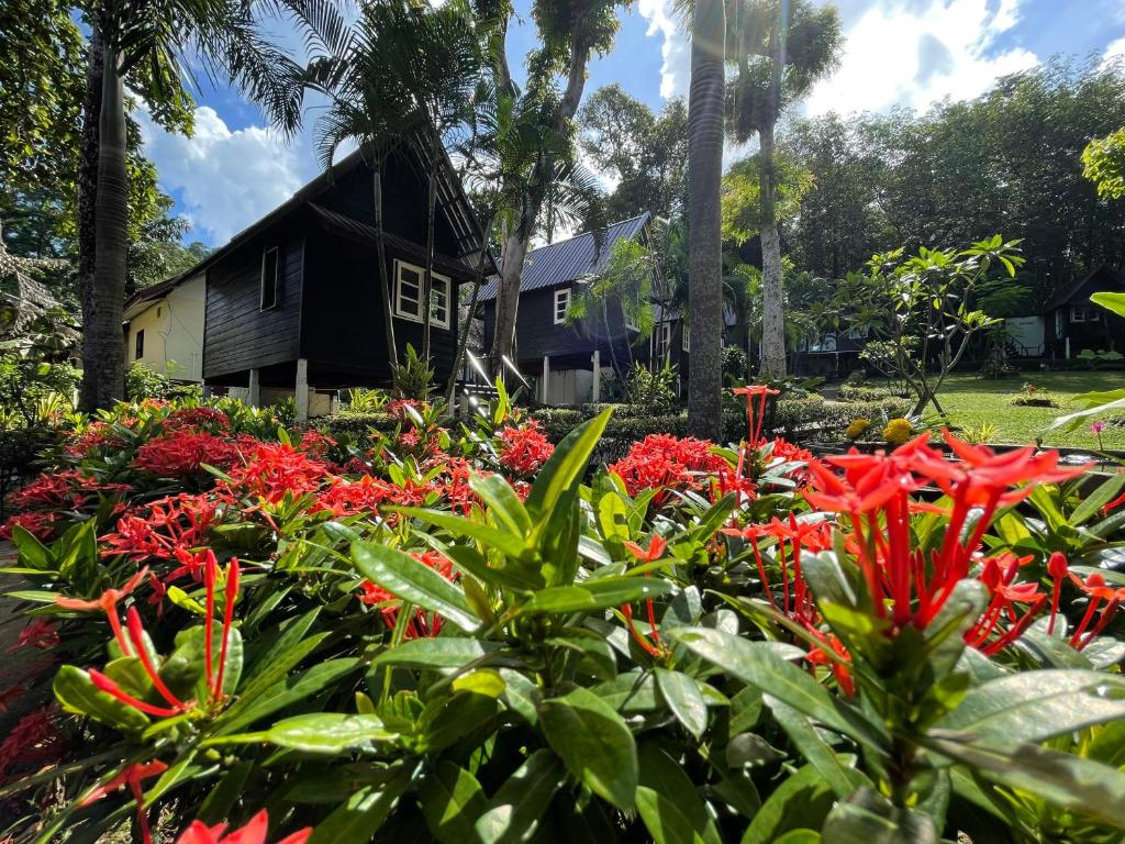 a garden with red flowers in front of a house at Vanara Bungalows in Ko Chang
