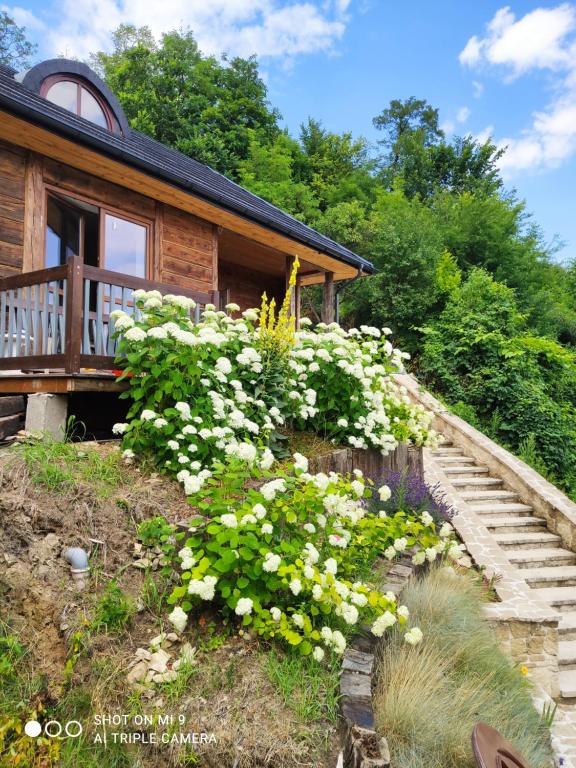 a house with white flowers in front of it at Domek nad chrząszczem in Szczebrzeszyn