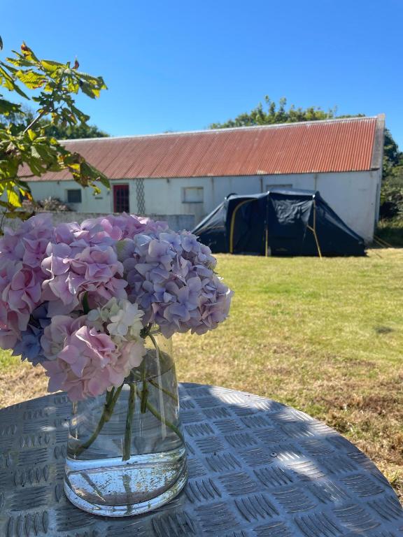 Peaceful Tent Camping near Ballybunion & Listowel, Ballybunion (updated