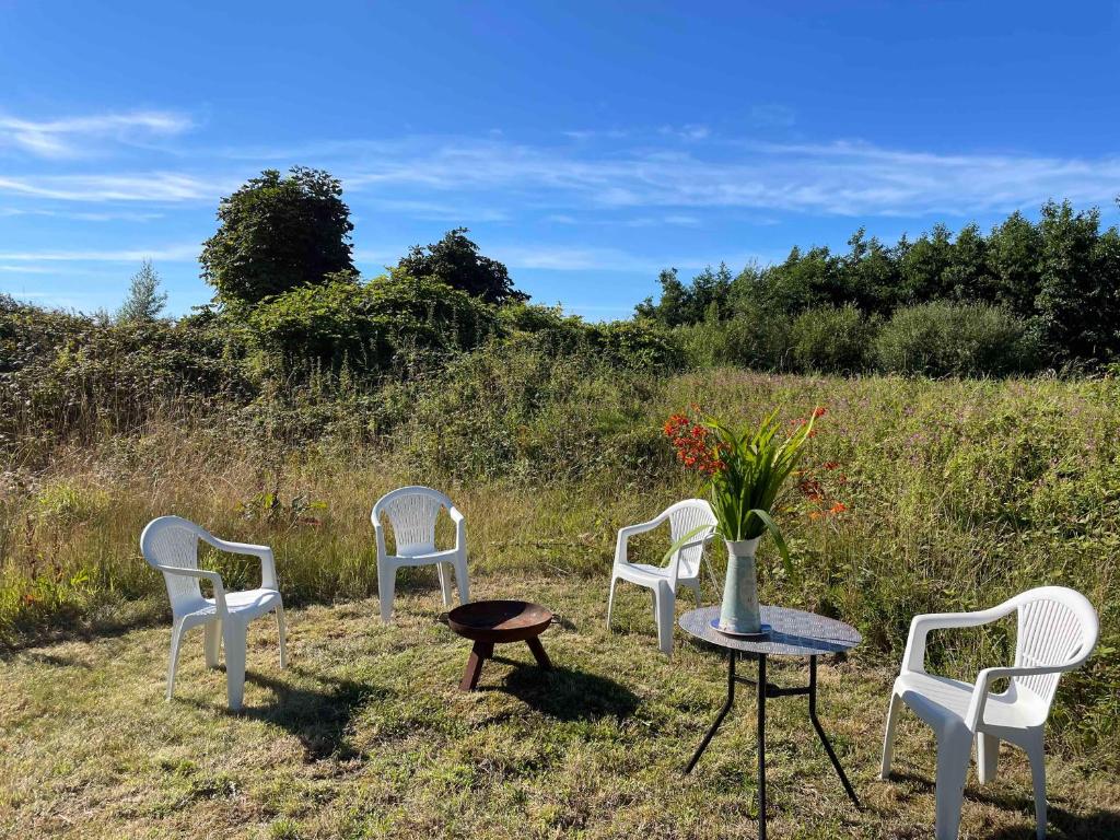 Peaceful Tent Camping near Ballybunion & Listowel, Ballybunion (updated