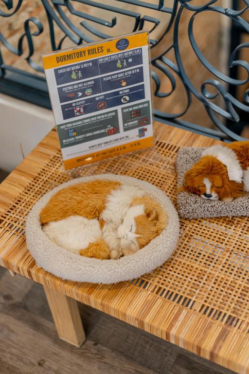 ホステルの敷地内または近くでの食事または食べ物