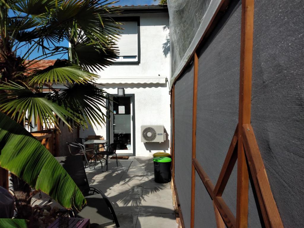 a door to a house with a patio with a palm tree at Logement entier, proche hyper centre, 2 étoiles SANS SPA in Villeneuve-sur-Lot