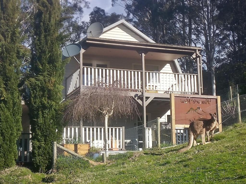 a dog standing in front of a house at Beautiful Dutch Barn style country house in Merrijig (base of Mt Buller). in Merrijig