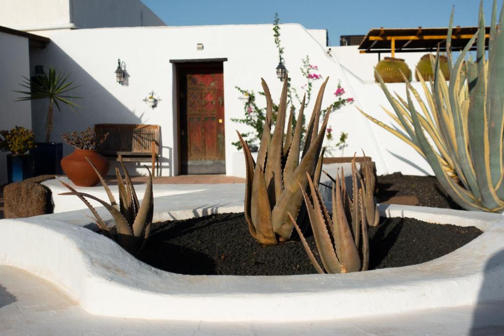 Fotografie z fotogalerie ubytování Casa Camella v destinaci Mácher
