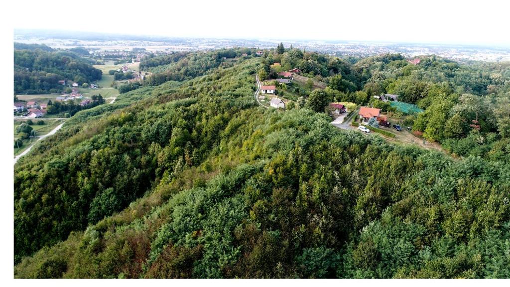 Relax house ZLATNI BREG - Housity