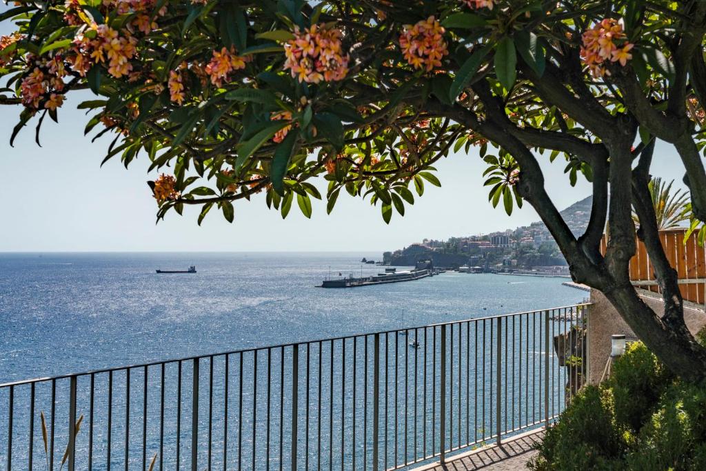 a view of the ocean with a fence and a tree at Lazareto Mar by An Island Apart in Funchal