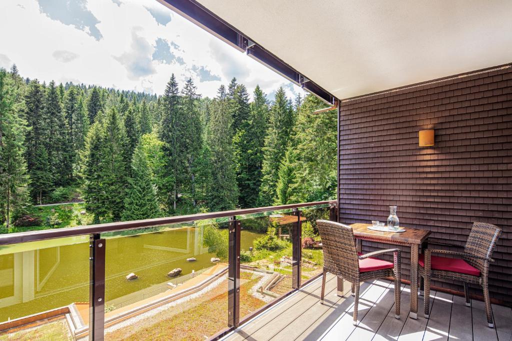 Příroda nedaleko hotelu