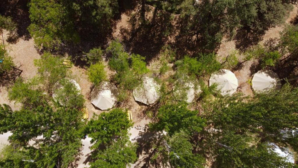Fotografia z galérie ubytovania Kampaoh Cazorla v destinácii El Valle