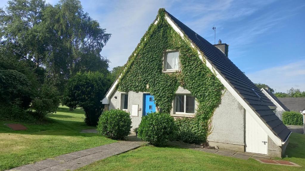 una casa cubierta de hiedra con una puerta azul en Idyllic 3-Bed House minutes from village & beach en Rathmullan