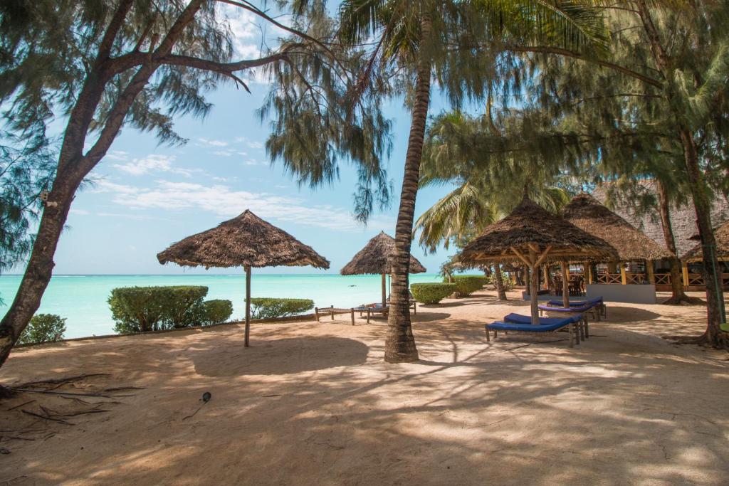 a beach with umbrellas and chairs and the ocean at Tanzanite Beach Resort in Nungwi