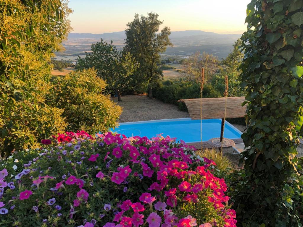 un giardino fiorito e una piscina di Casa Chiassarello a Roccastrada