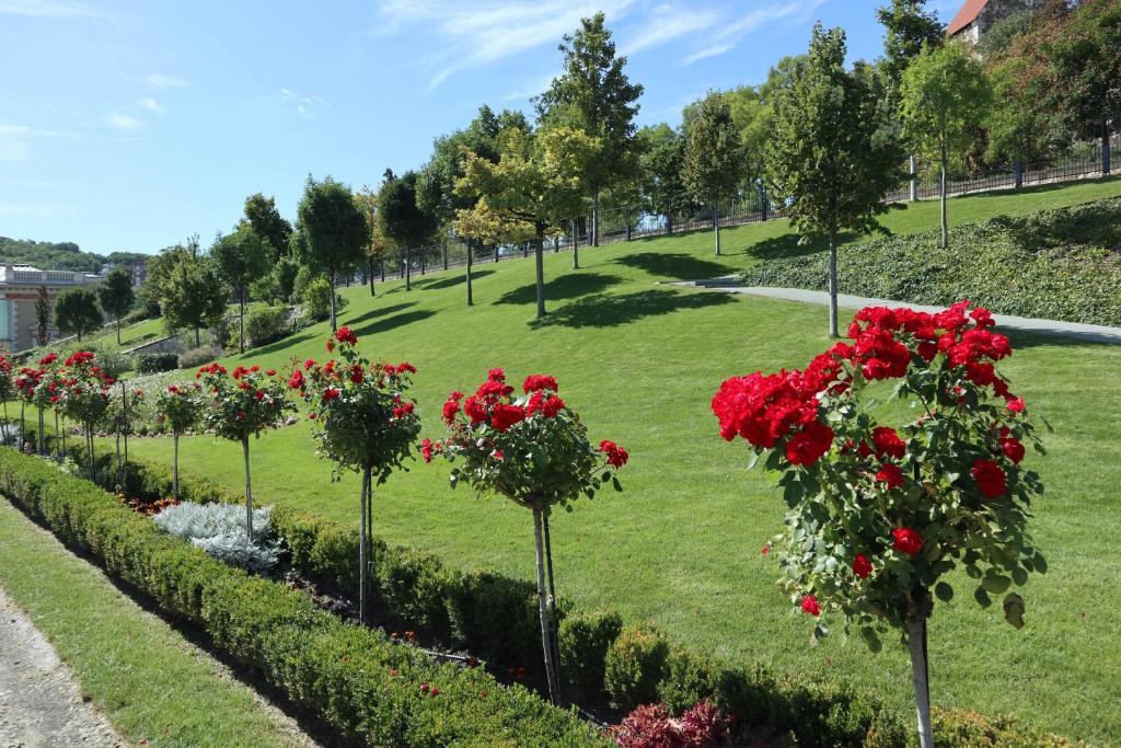 A garden outside MARVELOSA APARTMENT - Central by the Chain Bridge