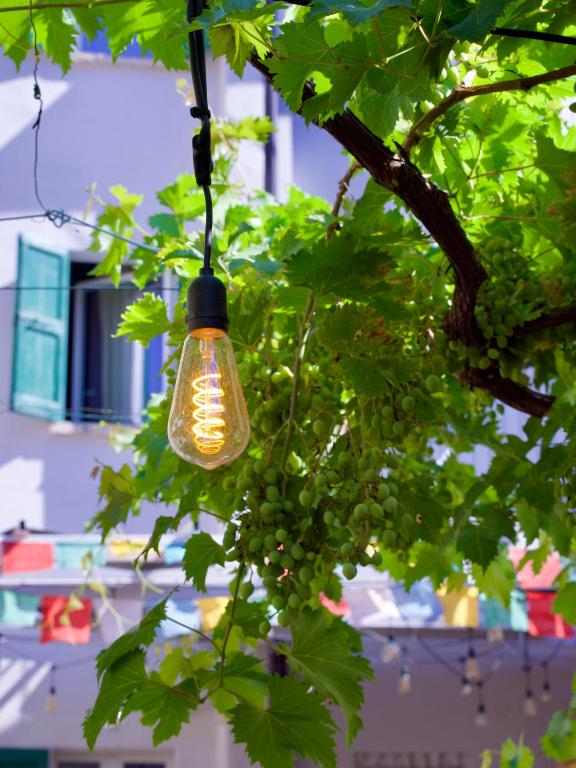 Fotografie z fotogalerie ubytování Casa Babbuino v destinaci Verona