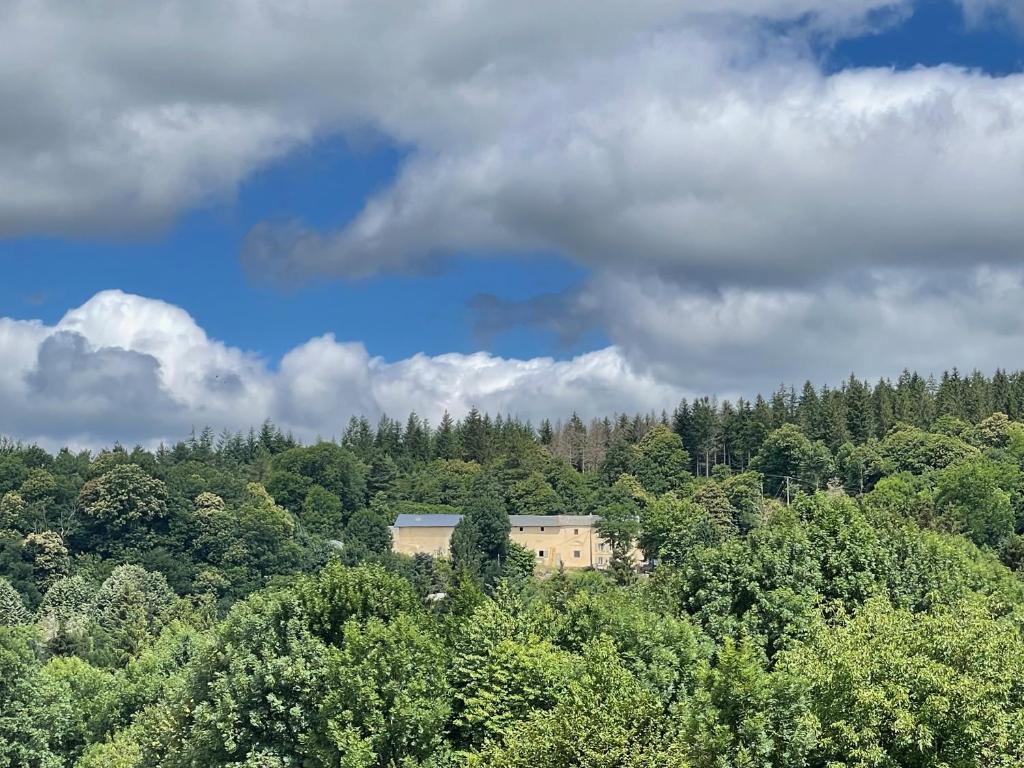 a building in the middle of a forest of trees at Les Houstalous in Lacombe