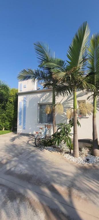 Fotografie z fotogalerie ubytování B&B Villa Eraclea v destinaci San Leone