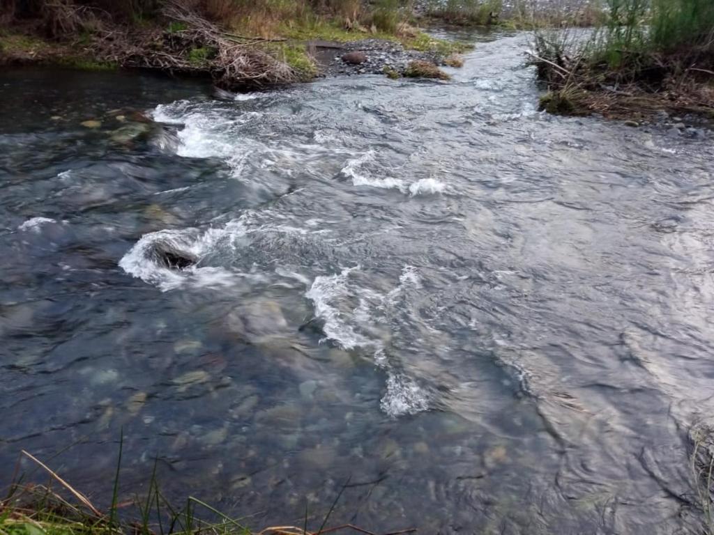 CABAÑAS EL DIUCO EN COÑARIPE 6