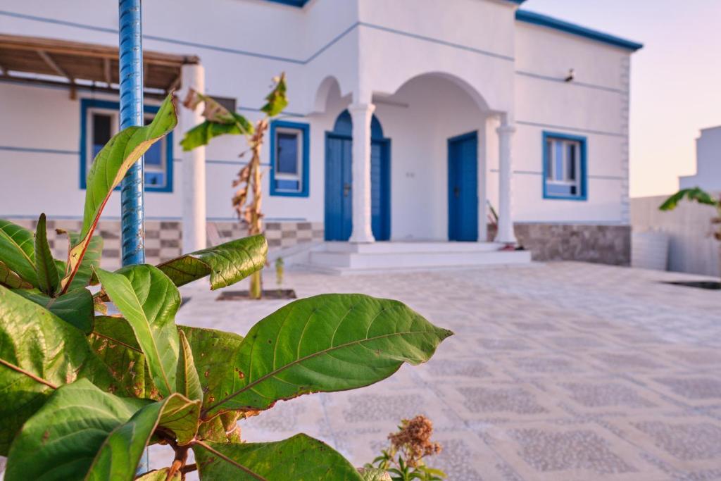 a plant in front of a building with blue doors at Salem Fish Guest House in Al Ḩadd