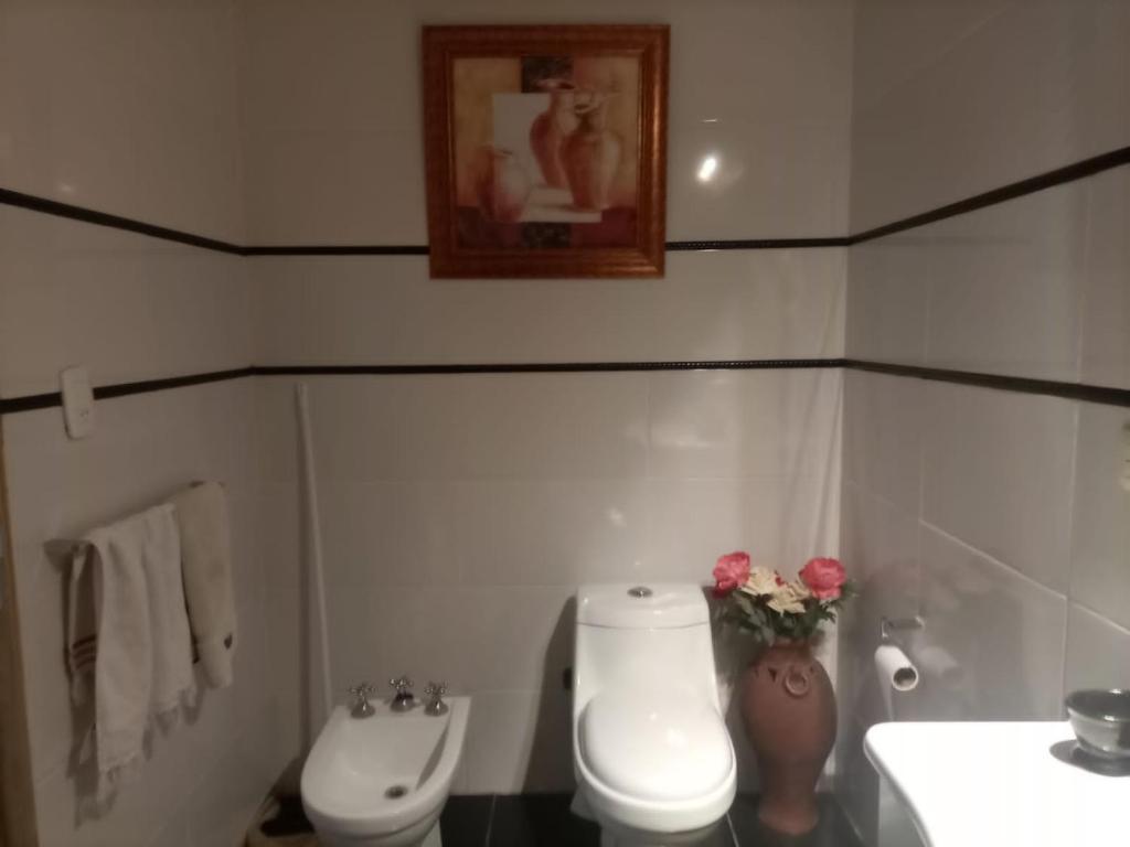 CASA ALICIA – Photos 1