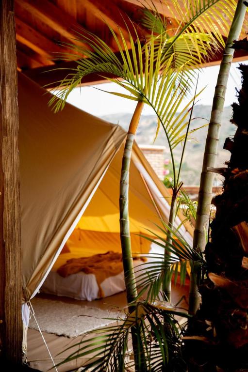 a palm tree in front of a tent at Slow Axarquía in Torre de Benagalbón