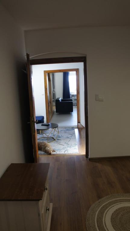 Postel nebo postele na pokoji v ubytování Fantazja Góra Św Anny