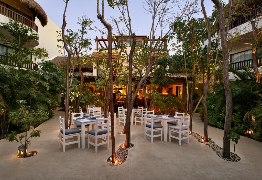 Zahrada ubytování Kimpton Aluna Resort Tulum by IHG