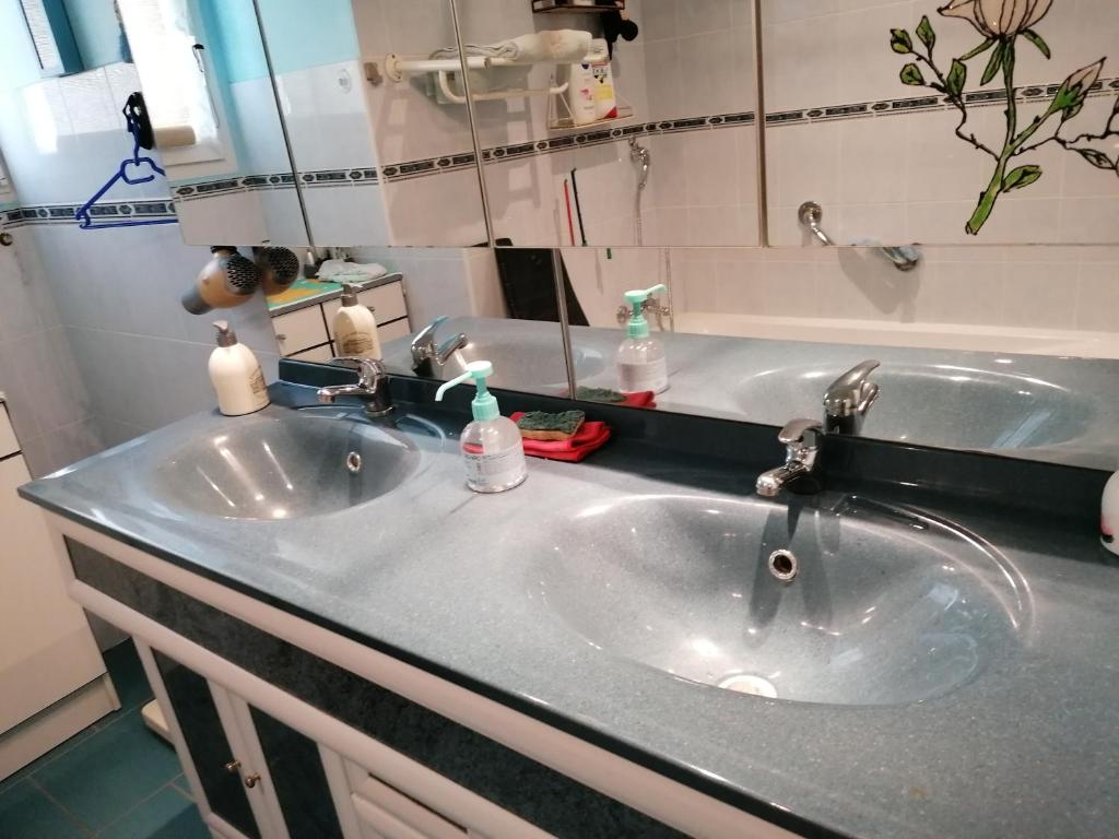 ein Waschbecken mit zwei Seifenflaschen drauf in der Unterkunft Christophe in Crest