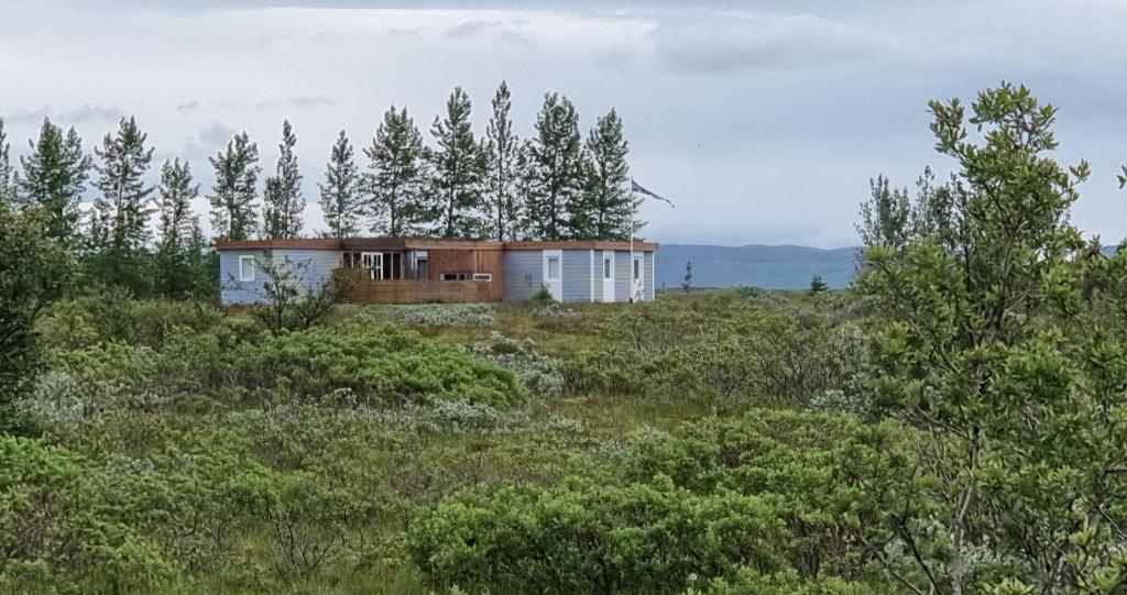una casa in cima a una collina con alberi di Adventure Eagle Cottege a Geysir