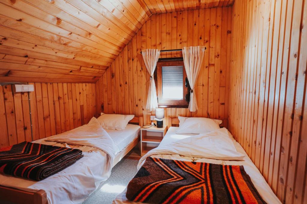 Легло или легла в стая в Momo's House