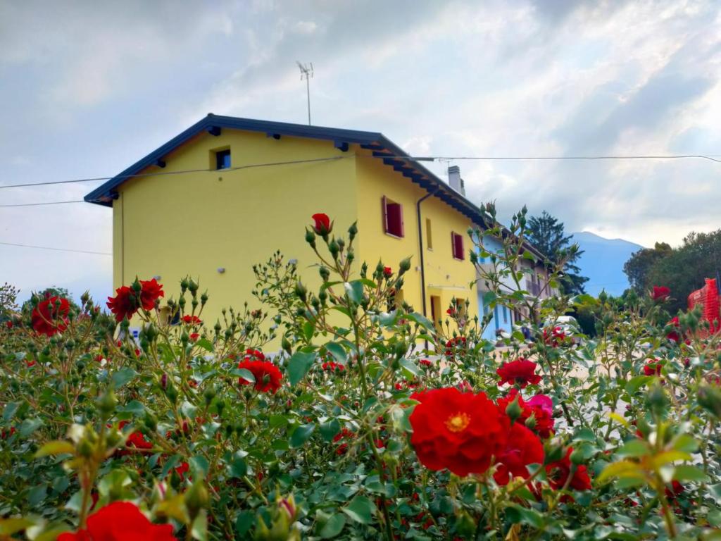 una casa amarilla con flores rojas delante de ella en B&B Rio Rai, en Gemona del Friuli