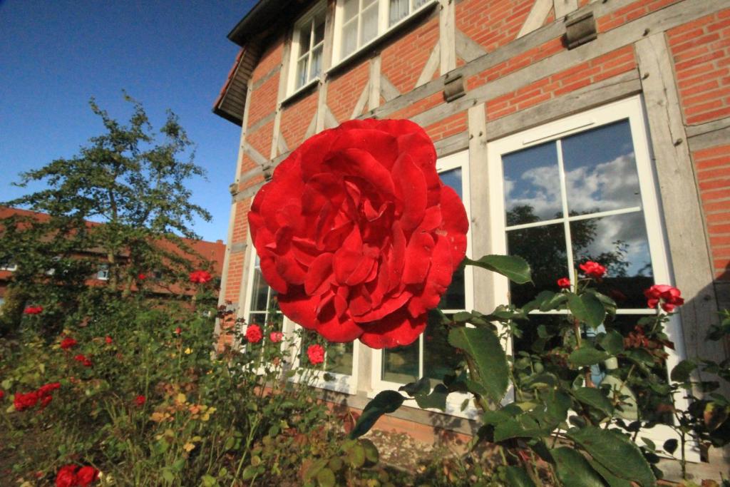 Flair Seehotel Zielow - Suite