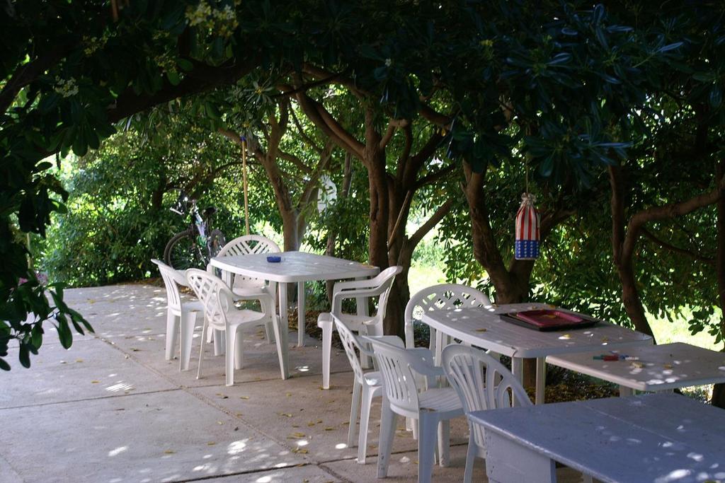 Zahrada ubytování Family friendly seaside apartments Vlasici, Pag - 4319