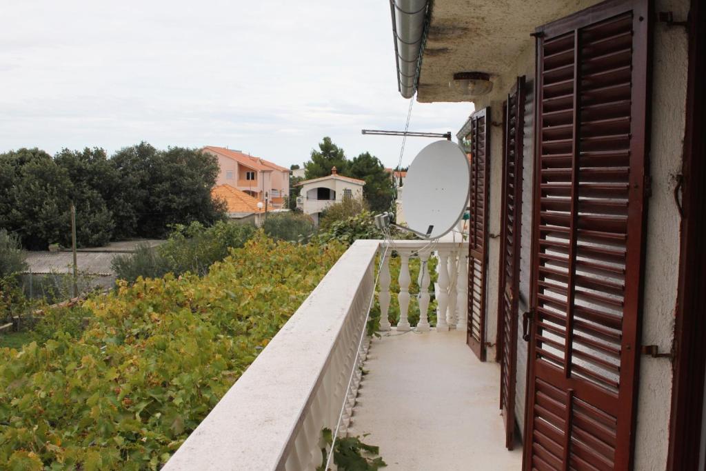 Ogród w obiekcie Apartments by the sea Vrsi - Mulo, Zadar - 5791