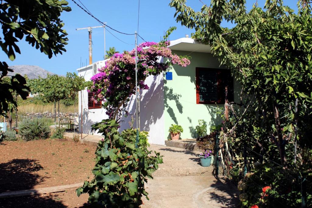Κήπος έξω από το Apartments by the sea Sucuraj, Hvar - 5671