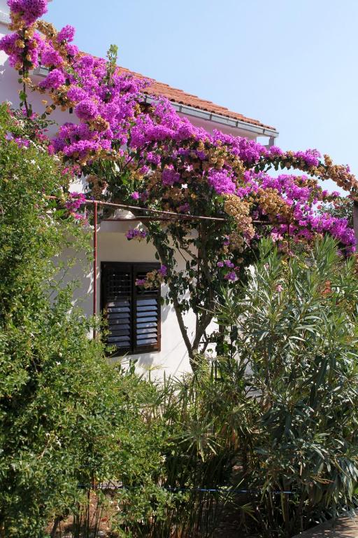 Vonkajšia záhrada v ubytovaní Apartments by the sea Basina, Hvar - 5700