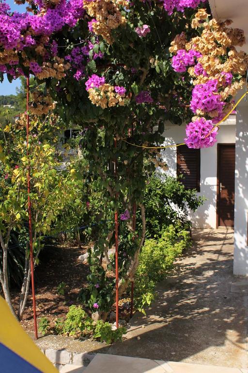 Vonkajšia záhrada v ubytovaní Apartments by the sea Basina, Hvar - 5700