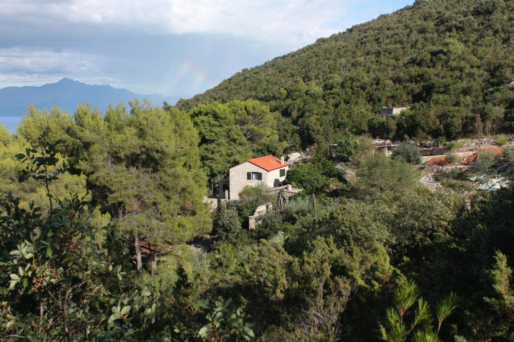 een huis in het midden van een berg bij Seaside secluded apartments Cove Zavala - Gdinj, Hvar - 5717 in Bogomolje