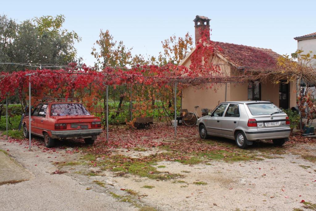 Fotografia z galérie ubytovania Apartments with a parking space Sukosan, Zadar - 5897 v Sukošane