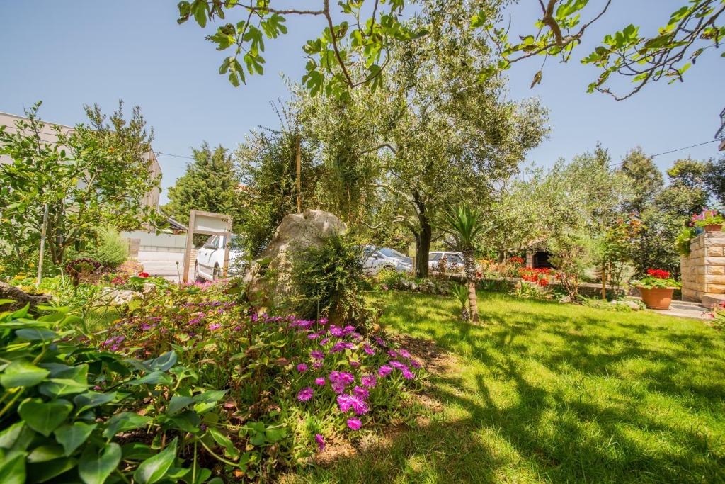 Ogród w obiekcie Apartments and rooms by the sea Vrsi - Mulo, Zadar - 5848