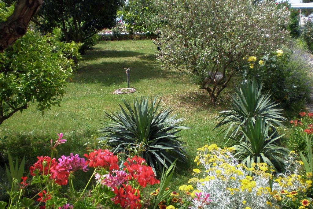 Vonkajšia záhrada v ubytovaní Apartments by the sea Sukosan, Zadar - 5802