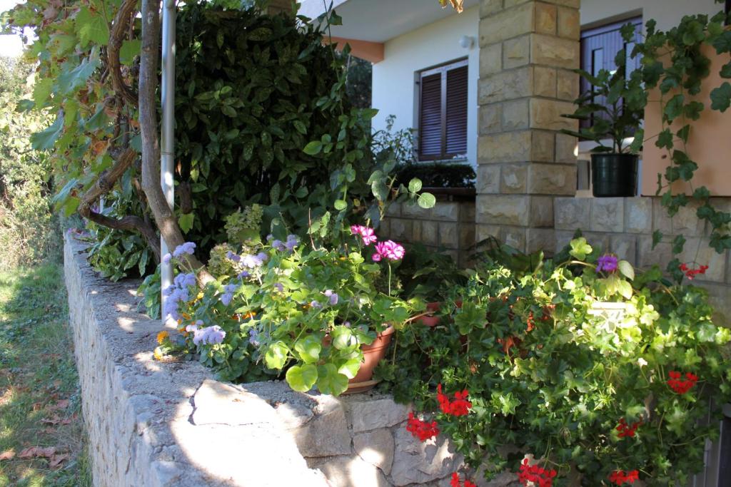 Vonkajšia záhrada v ubytovaní Family friendly seaside apartments Kozino, Zadar - 5749