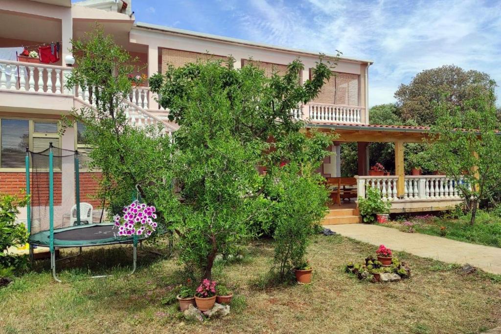 Vonkajšia záhrada v ubytovaní Apartments with a parking space Sukosan, Zadar - 5888