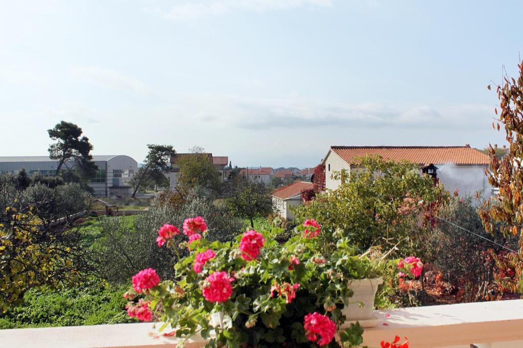Vonkajšia záhrada v ubytovaní Apartments with a parking space Sukosan, Zadar - 5888