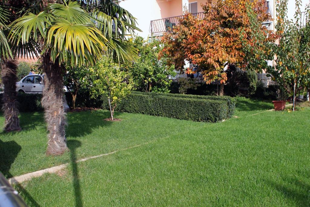 Zahrada ubytování Apartment Zadar - Diklo 5880c