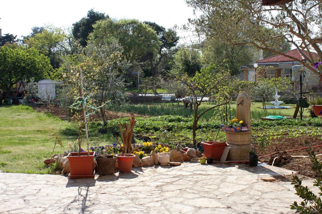- un jardin avec une bande de plantes en pot dans l&#39;établissement Apartments by the sea Sukosan, Zadar - 5905, à Sukošan