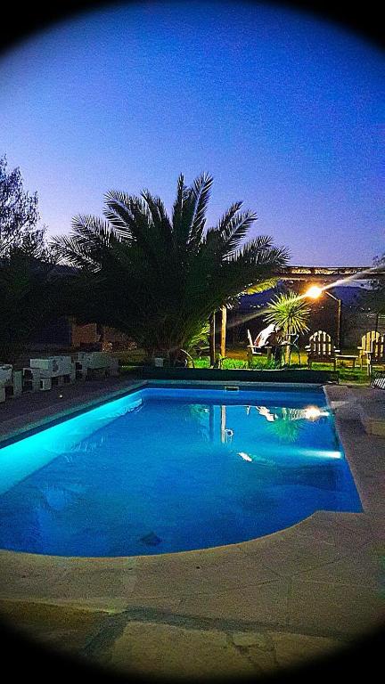 a large blue swimming pool at night with palm trees at Cabañas Lugar Escondido in Mendoza